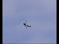 rc tiger moth 1/3