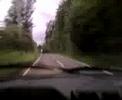 205 Back Road 205 Back Road
