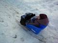 Epona the lonesome sledder