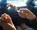 Roadtrip met Allard en Nanda