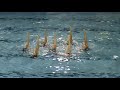 Equipe Lyon Natation Synchronis�e aux France N1 senior 2008