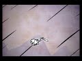 Los Alces voladores