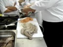 Gastronomia