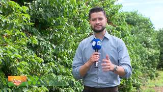 Agro Record: 04 05 25 - Bloco 01