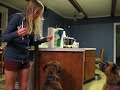 Bruno the Boxer - Speak
