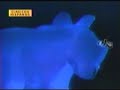 josé luis rodriguez   el tiempo se nos va