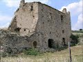 Bovino le radici
