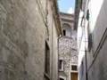 Bovino le radici