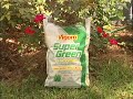 Lawncare Lawncare
