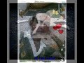 ايام من حياتى. حسين الجسمي من عمر الطيب