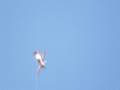 Come Fly With Me