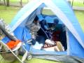 104_2098.MOV