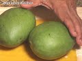 Mango Chutney (Relish),  Aam Ka Lacha by Manjula