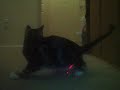 Chysh and laser pointer Chysh and laser pointer