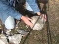 Spalling Edwards Chert 2.wmv