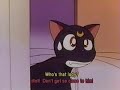 Seiya and Usagi 