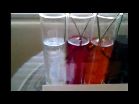 how to dye carnations