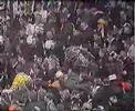 Firman Boys War On The Terraces part 2