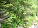 czech-in-slovenija.html