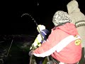 Bluefin Tuna 280kg 巨大クロマグロ