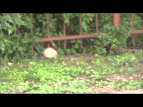 See video