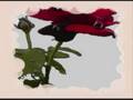 thierry-amiel-mabellehistoire_0001.wmv