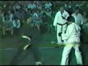 karate CHIEFEC 