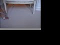 Madam-Raison-D-etre-