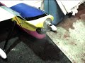 R/C Aeroplane 26cc running in engine \"RUSH\"