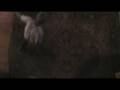 Ariadne's Dance