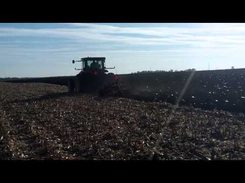 how to harvest field corn