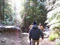 Evans creek run