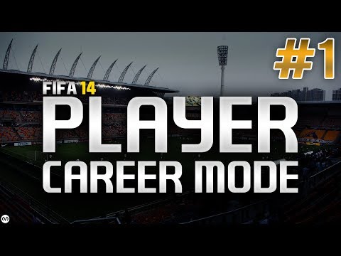 how to online play fifa 14