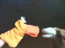 Ente vs. Hund