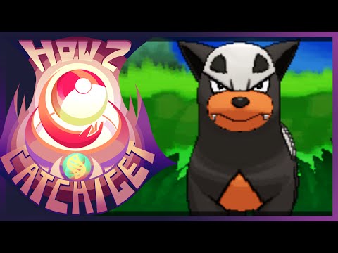 how to get houndour in pokemon y