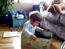 Cyanne in her book box