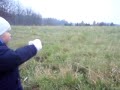 Sanny a mladičká výcvikářka Eliška 3