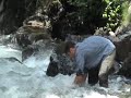 çirçila bal?k av? çirçila bal?k av?