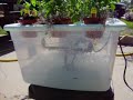 Wind-Powered Aeroponics System - Feed The World