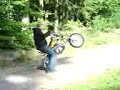Stegrar med Crossen
