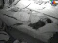 Fabiola y Esteban... besos... besos y m�s besos 1