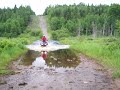 a wolverine in 30 inch of water