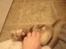 Buffy does the tuck \ Buffy does the tuck \