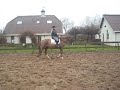 Sunday 9 jarige Ruin Stap (Rechts)