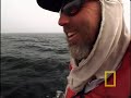 The haunting calls of blue whales can travel across thousands of miles of ocean, and Wild Chronicles is on a mission to find out why these solitary giants are so talkative. For the first time ever, National Geographic's Crittercam® records both video and underwater sound of blue whales calling. The results reveal that these whales may not be so solitary after all — the calls could be about companionship.