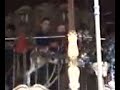carousel.3g2 carousel.3g2