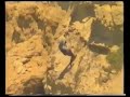 Miss�o de Escarpa no Cabo Espichel