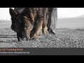 Anzac Tribute