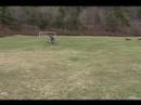 Agile Biking