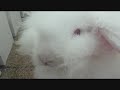 090620